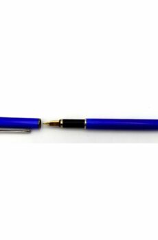 Fountain Pen Sterling Silver fired Enamel Guilloche Salimbeni